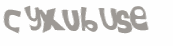 Wyzwanie captcha