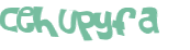 CAPTCHA 挑戰