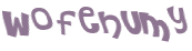 Captcha 챌린지