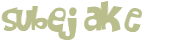 Captcha 챌린지