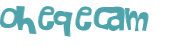 CAPTCHA 挑戰