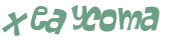 CAPTCHA 挑戰