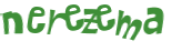 キャプチャ認証