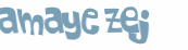 Captcha 챌린지