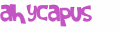 Captcha挑战