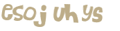 Captcha 챌린지