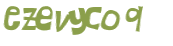 Wyzwanie captcha