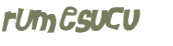 CAPTCHA 挑戰