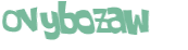 CAPTCHA 挑戰