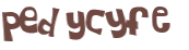 Desafio captcha
