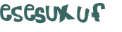 Captcha-Test