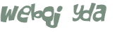 Wyzwanie captcha