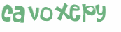 CAPTCHA 挑戰