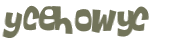 Captcha-Test