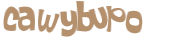 Desafio captcha