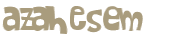 Captcha 챌린지