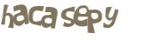 Prueba Captcha