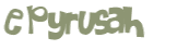 Captcha 챌린지