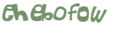 CAPTCHA 挑戰