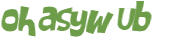 Desafio Captcha