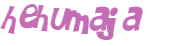 CAPTCHA 挑戰