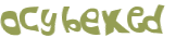 CAPTCHA 挑戰