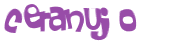 CAPTCHA 挑戰