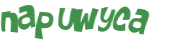 CAPTCHA 挑戰