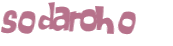 Captcha 챌린지