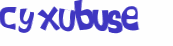 CAPTCHA 挑戰