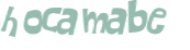 CAPTCHA 挑戰