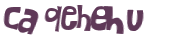Desafio captcha