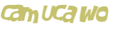 Sfida captcha