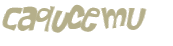 CAPTCHA-haaste