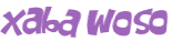 CAPTCHA 挑戰