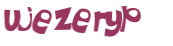 CAPTCHA 挑戰
