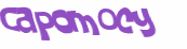 CAPTCHA 挑戰