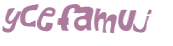 Captcha 챌린지