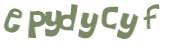 Captcha 챌린지