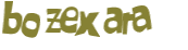 Captcha-Test