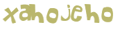 Wyzwanie captcha