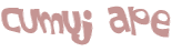 Captchafråga