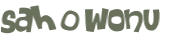 CAPTCHA 挑戰