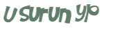 Captcha 챌린지