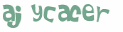 CAPTCHA 挑戰