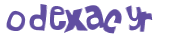 CAPTCHA 挑戰