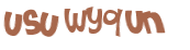 Captcha-Test
