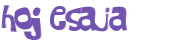 Desafio captcha