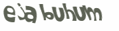 Captchafråga