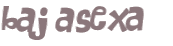 CAPTCHA 挑戰
